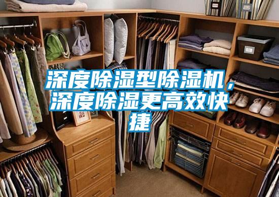 深度除濕型除濕機(jī)，深度除濕更高效快捷
