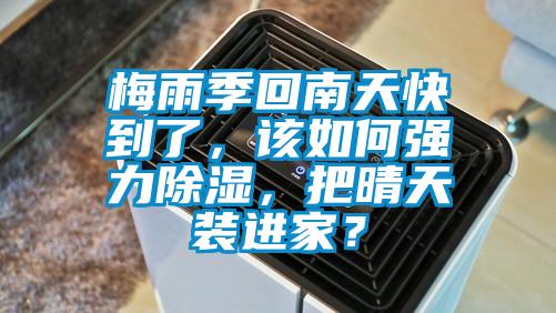 梅雨季回南天快到了，該如何強力除濕，把晴天裝進家？