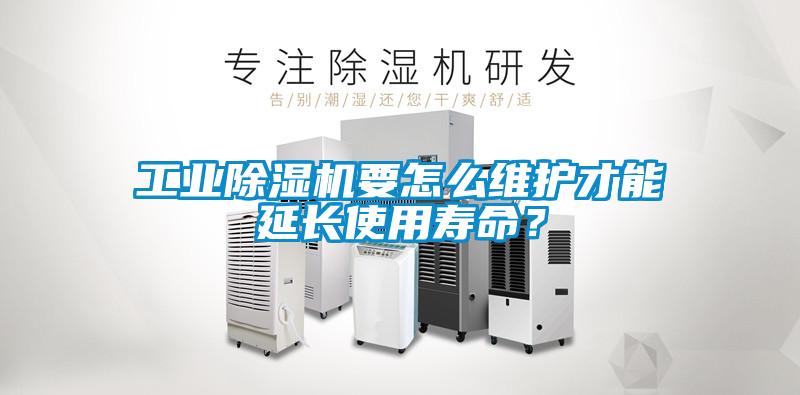 工業(yè)除濕機(jī)要怎么維護(hù)才能延長(zhǎng)使用壽命？