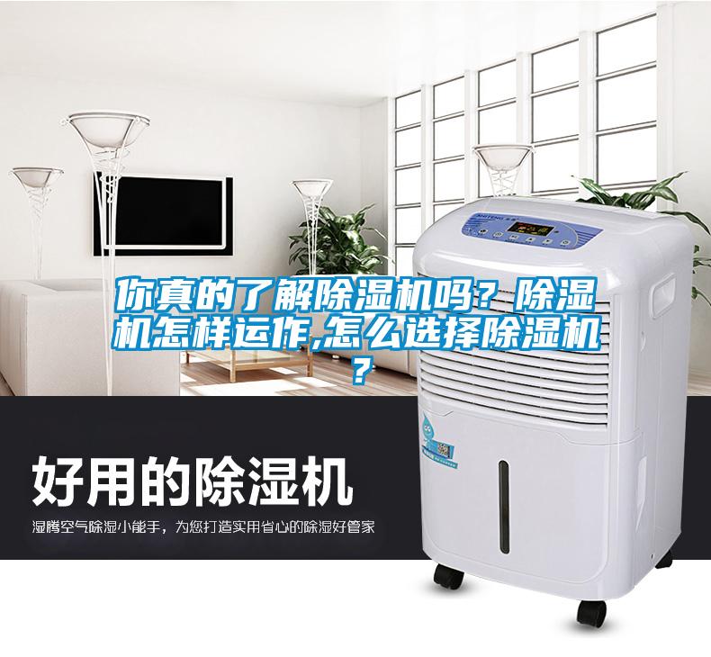 你真的了解除濕機嗎？除濕機怎樣運作,怎么選擇除濕機？
