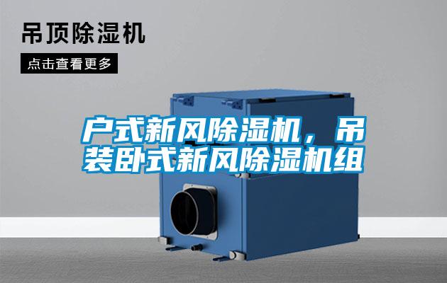 戶式新風(fēng)除濕機(jī)，吊裝臥式新風(fēng)除濕機(jī)組