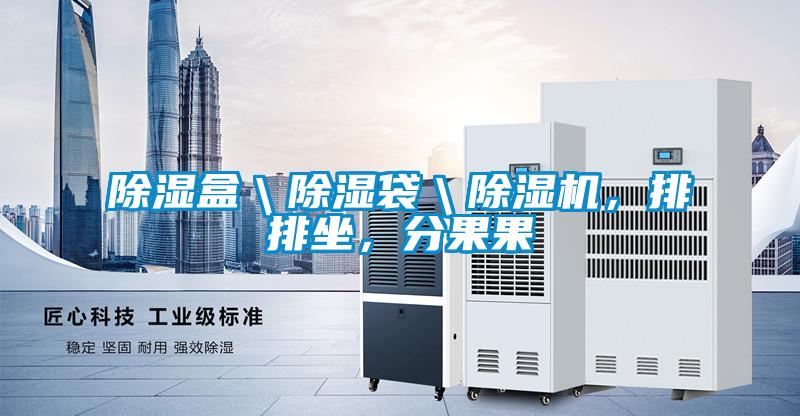 除濕盒＼除濕袋＼除濕機，排排坐，分果果