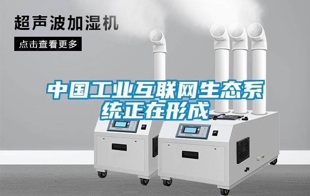 中國工業(yè)互聯(lián)網生態(tài)系統(tǒng)正在形成