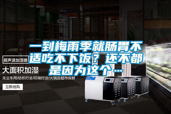 一到梅雨季就腸胃不適吃不下飯？還不都是因為這個…