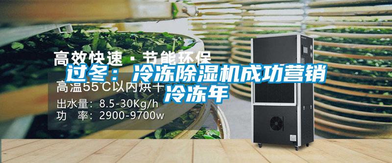 過冬：冷凍除濕機(jī)成功營銷冷凍年