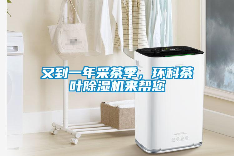 又到一年采茶季，環(huán)科茶葉除濕機來幫您