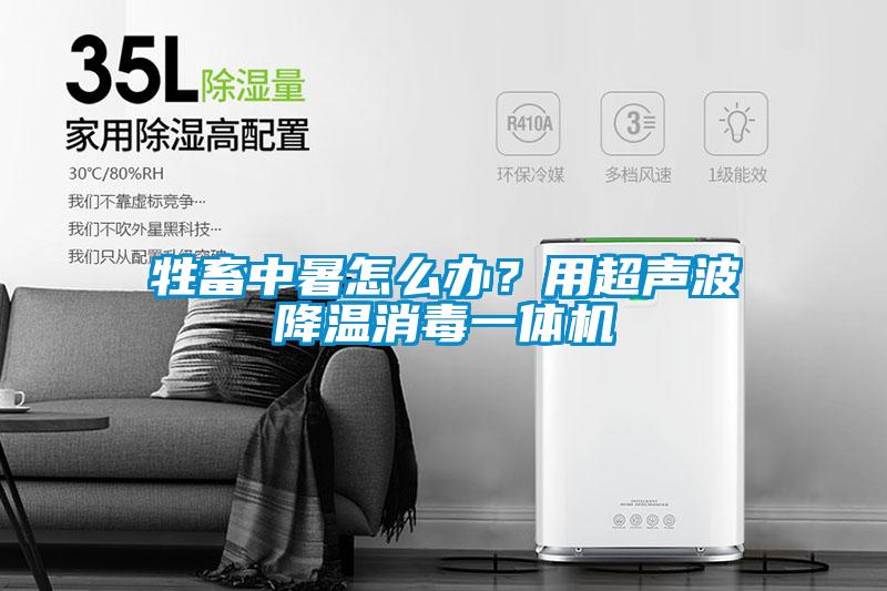 牲畜中暑怎么辦？用超聲波降溫消毒一體機(jī)