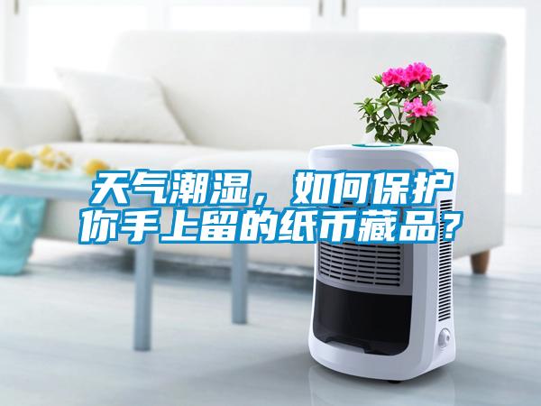 天氣潮濕，如何保護(hù)你手上留的紙幣藏品？