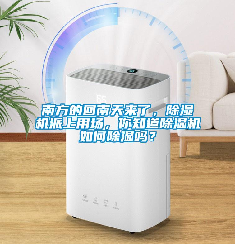 南方的回南天來(lái)了，除濕機(jī)派上用場(chǎng)，你知道除濕機(jī)如何除濕嗎？