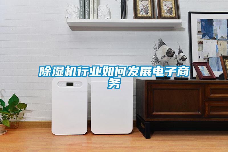 除濕機(jī)行業(yè)如何發(fā)展電子商務(wù)