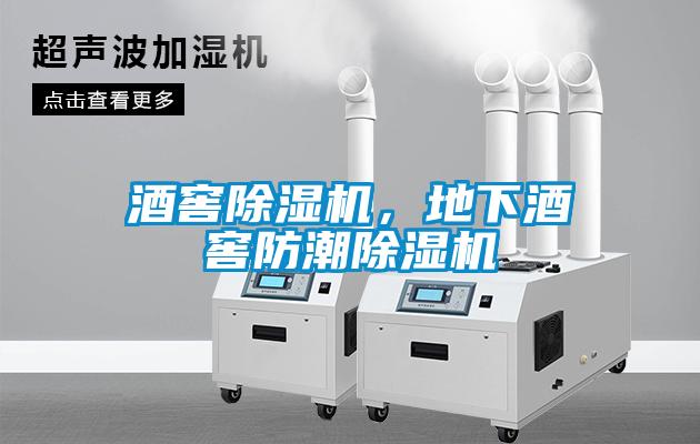 酒窖除濕機(jī)，地下酒窖防潮除濕機(jī)