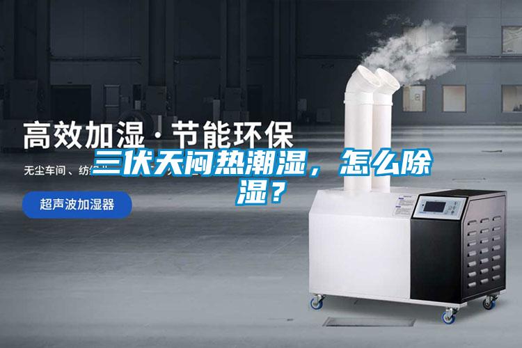 三伏天悶熱潮濕，怎么除濕？