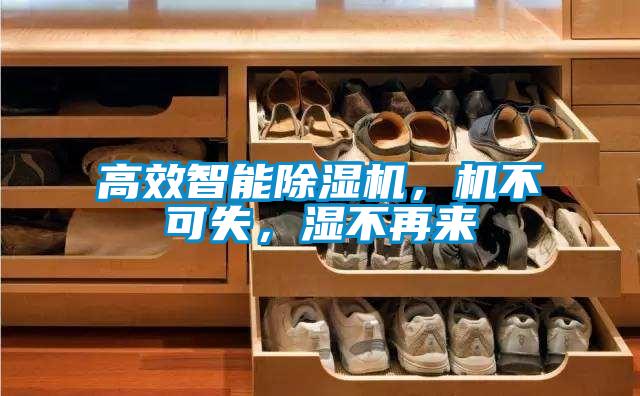 高效智能除濕機，機不可失，濕不再來