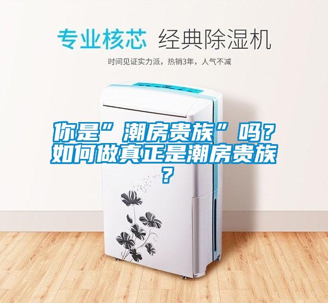 你是”潮房貴族”嗎？如何做真正是潮房貴族？