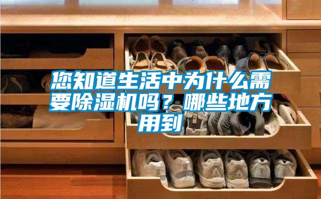 您知道生活中為什么需要除濕機嗎？哪些地方用到