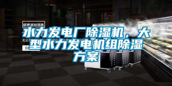 水力發(fā)電廠除濕機(jī)，大型水力發(fā)電機(jī)組除濕方案