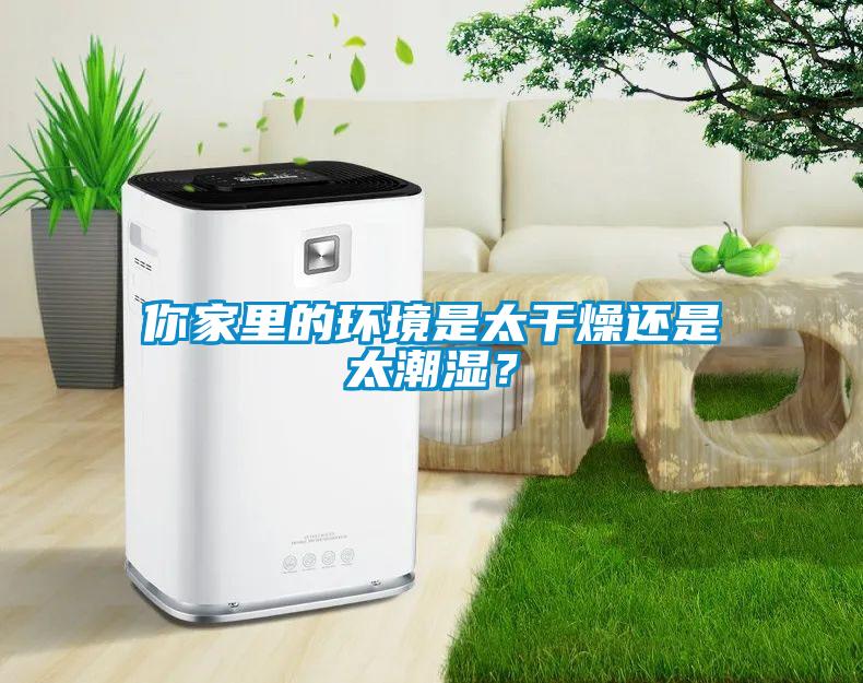 你家里的環(huán)境是太干燥還是太潮濕？