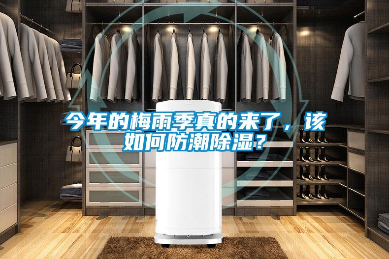 今年的梅雨季真的來(lái)了，該如何防潮除濕？