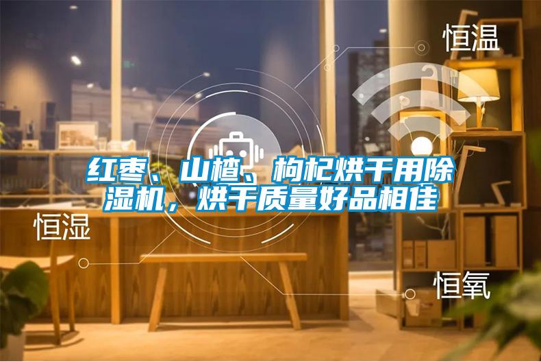 紅棗、山楂、枸杞烘干用除濕機，烘干質(zhì)量好品相佳