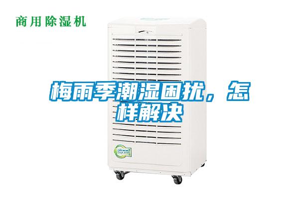 梅雨季潮濕困擾，怎樣解決
