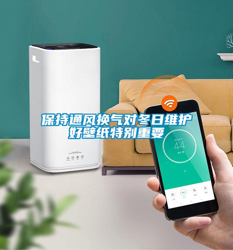 保持通風(fēng)換氣對冬日維護(hù)好壁紙?zhí)貏e重要