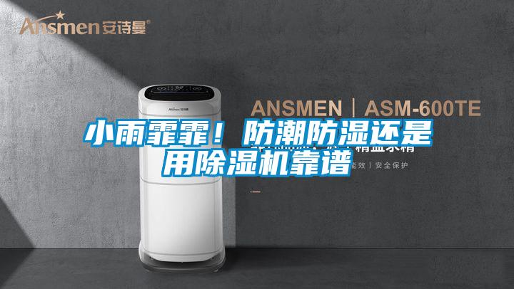小雨霏霏！防潮防濕還是用除濕機靠譜
