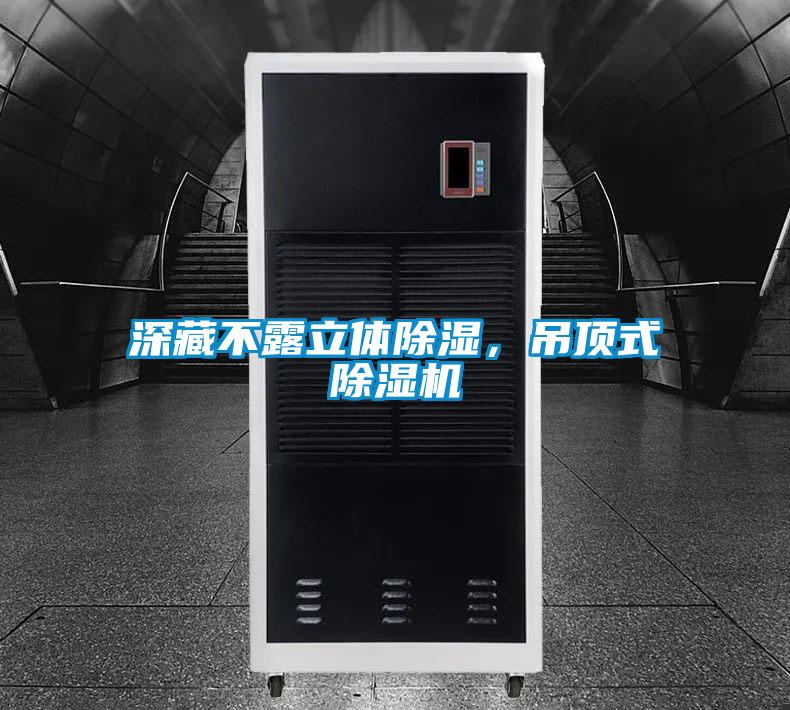 深藏不露立體除濕，吊頂式除濕機(jī)