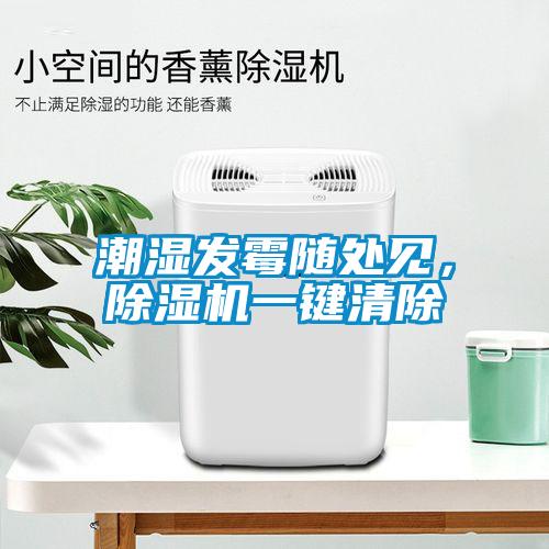 潮濕發(fā)霉隨處見，除濕機一鍵清除