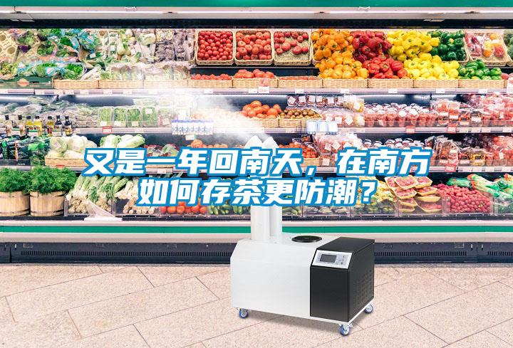 又是一年回南天，在南方如何存茶更防潮？