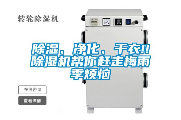 除濕、凈化、干衣!!除濕機(jī)幫你趕走梅雨季煩惱