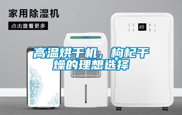 高溫烘干機，枸杞干燥的理想選擇