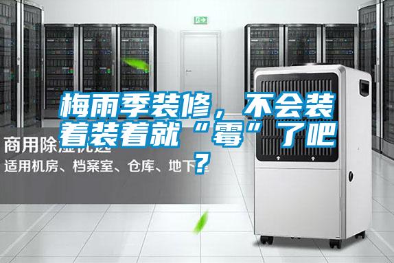 梅雨季裝修，不會裝著裝著就“霉”了吧？