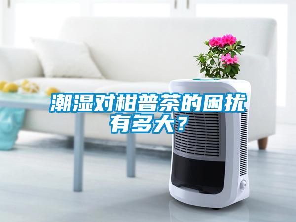 潮濕對柑普茶的困擾有多大？