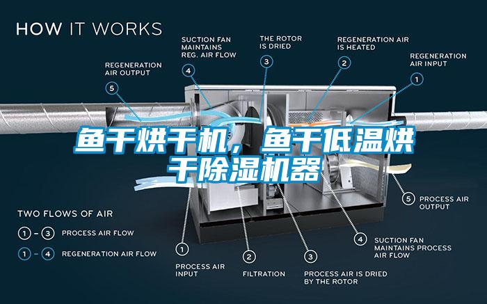 魚干烘干機，魚干低溫烘干除濕機器
