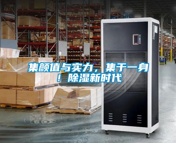 集顏值與實(shí)力，集于一身！除濕新時代
