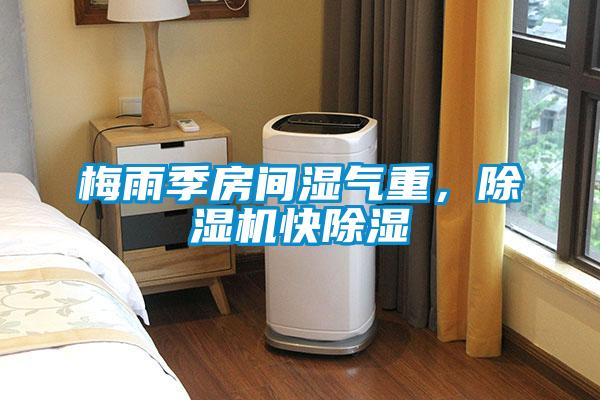 梅雨季房間濕氣重，除濕機快除濕