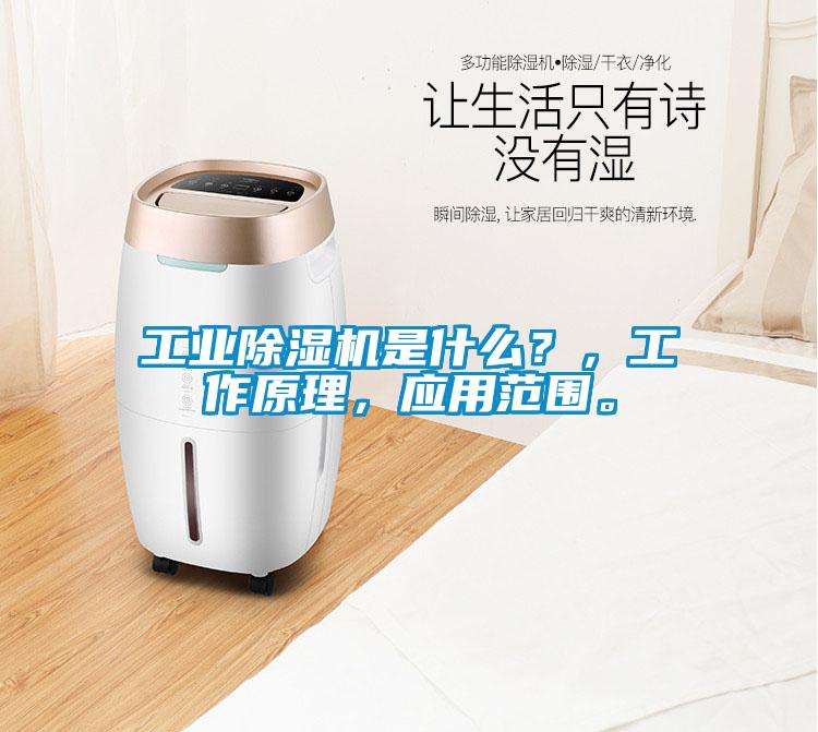 工業(yè)除濕機(jī)是什么？，工作原理，應(yīng)用范圍。