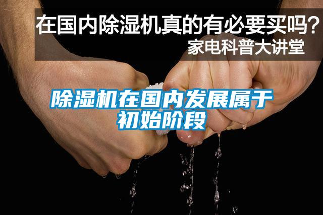 除濕機(jī)在國(guó)內(nèi)發(fā)展屬于初始階段