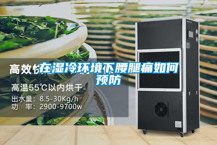 在濕冷環(huán)境下腰腿痛如何預防
