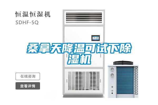 桑拿天降溫可試下除濕機(jī)