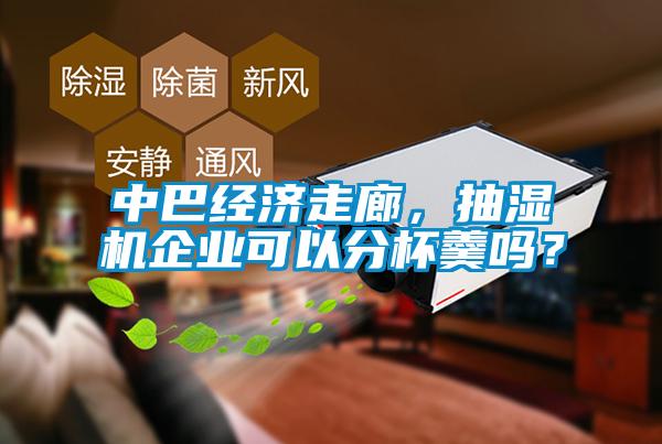 中巴經(jīng)濟(jì)走廊，抽濕機(jī)企業(yè)可以分杯羹嗎？
