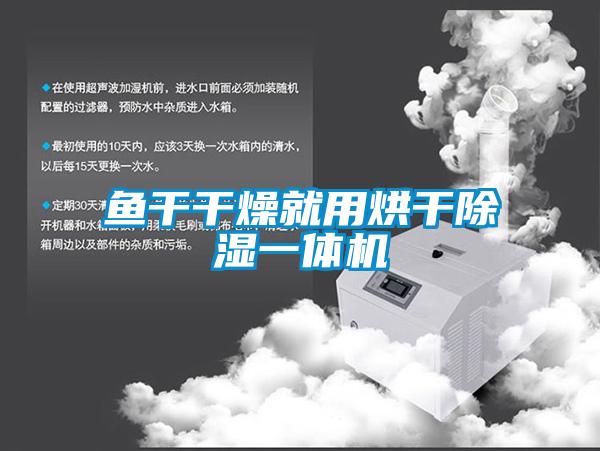 魚(yú)干干燥就用烘干除濕一體機(jī)