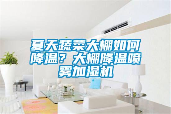 夏天蔬菜大棚如何降溫？大棚降溫噴霧加濕機(jī)