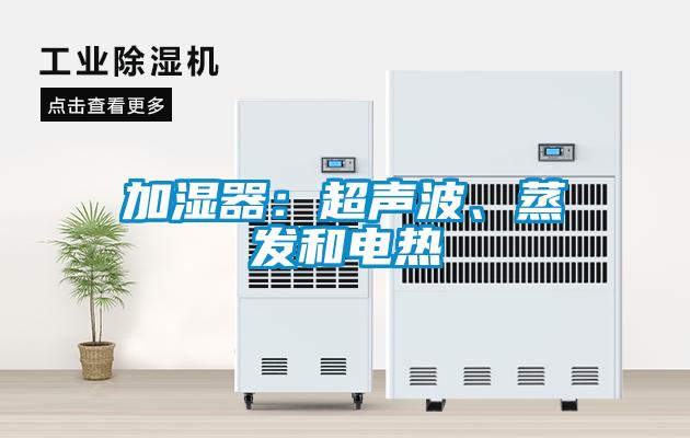 加濕器：超聲波、蒸發(fā)和電熱