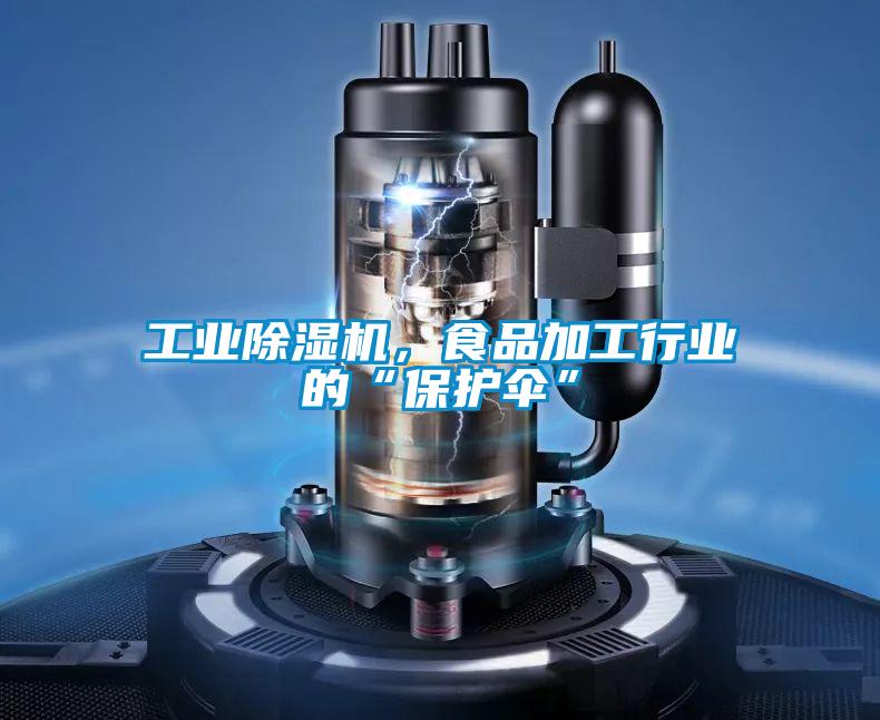 工業(yè)除濕機(jī)，食品加工行業(yè)的“保護(hù)傘”