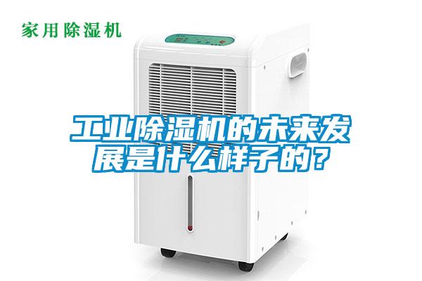 工業(yè)除濕機(jī)的未來(lái)發(fā)展是什么樣子的？