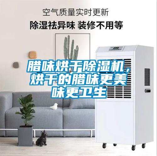 臘味烘干除濕機(jī)，烘干的臘味更美味更衛(wèi)生