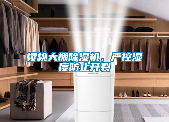 櫻桃大棚除濕機(jī)，嚴(yán)控濕度防止開(kāi)裂