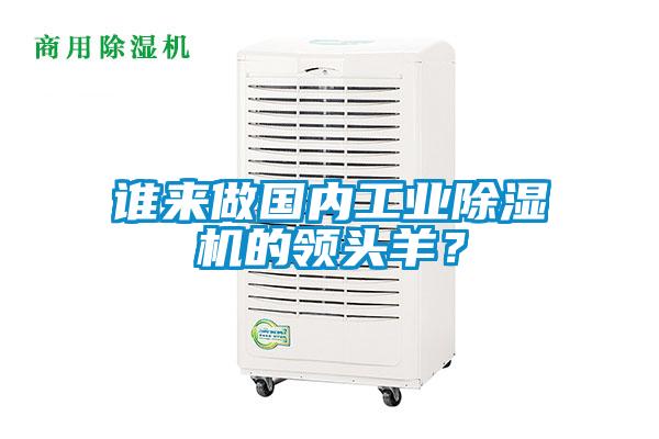 誰來做國內(nèi)工業(yè)除濕機的領(lǐng)頭羊？
