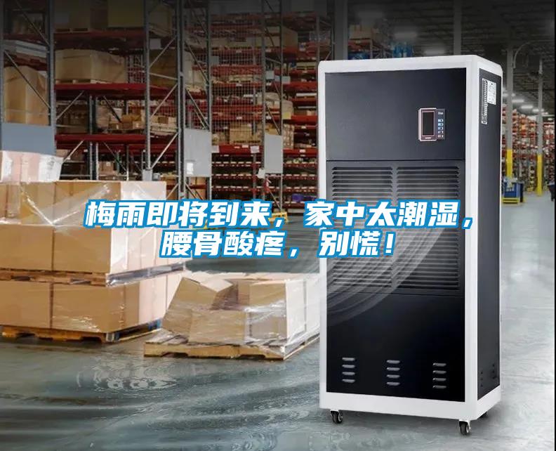梅雨即將到來，家中太潮濕，腰骨酸疼，別慌！